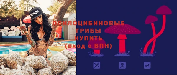 дурь Алексин