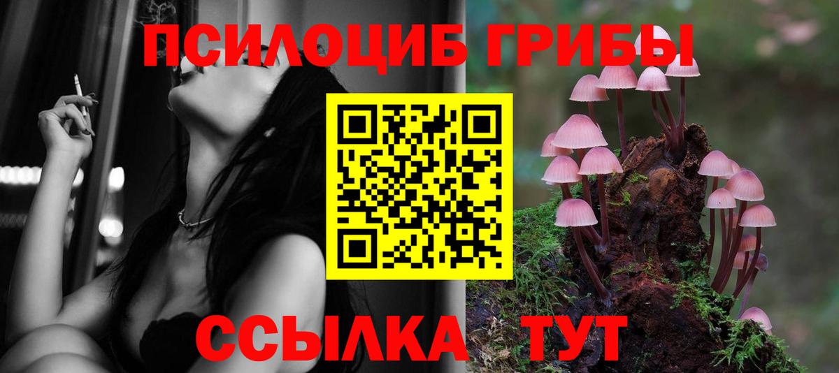 Псилоцибиновые грибы Cubensis  Вход с VPN  Кропоткин  Псилоцибиновые грибы Psilocybine cubensis 