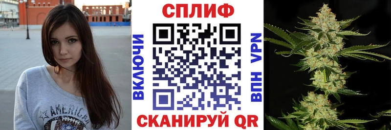 Бошки марихуана планчик  Кропоткин 